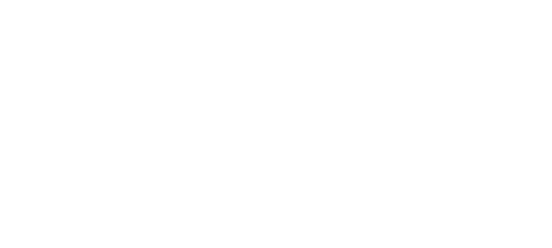 Bet